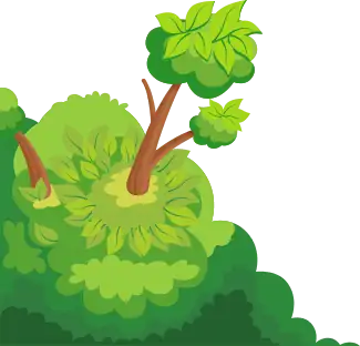 bush